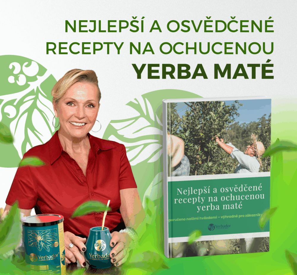 Ebook s nejchutnějšími recepty na ochucenou Yerba Mate