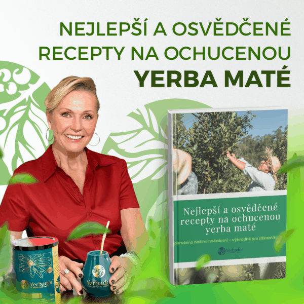 <strong style="color:var(--global-palette5);">Zdarma získáte: </strong>Ebook s nejchutnějšími recepty na ochucenou Yerba Mate