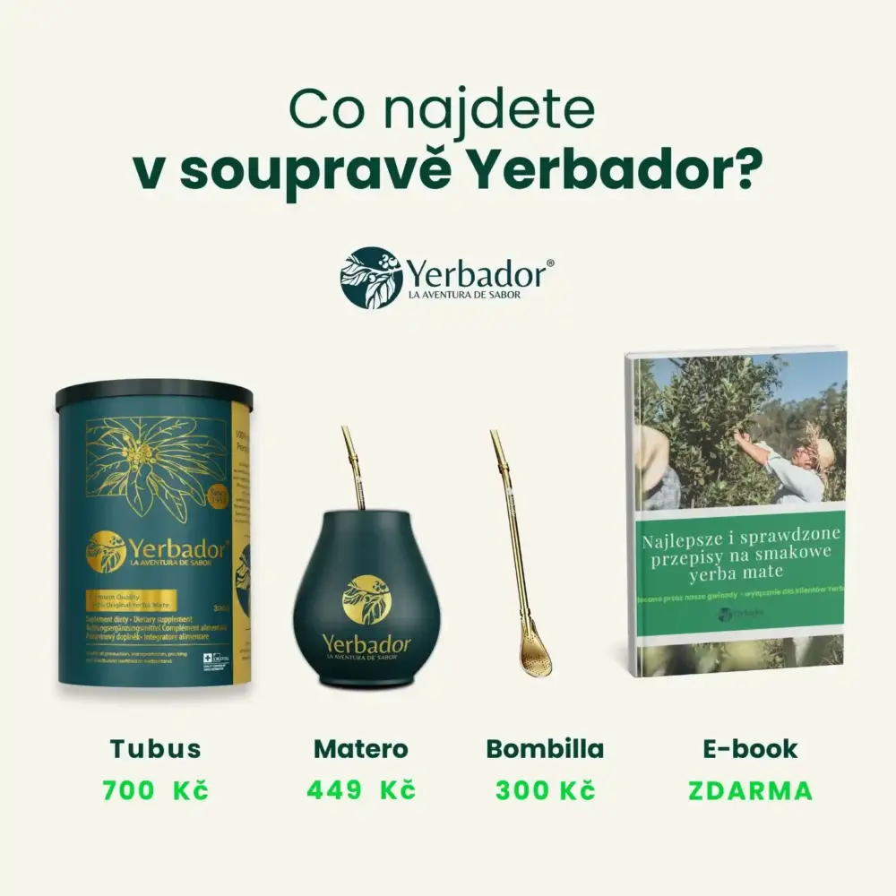 STARTOVACÍ SADA YERBA MATÉ BOMBILLA + MATERO + YERBA OČISTA - BYLINNÝ DETOX - Image 4