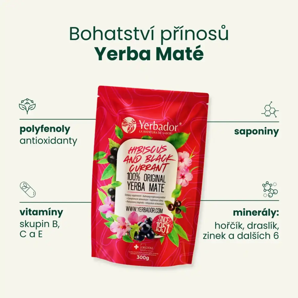 STARTOVACÍ SADA YERBA MATÉ – HIBISCUS A ČERNÝ RYBÍZ - Image 3