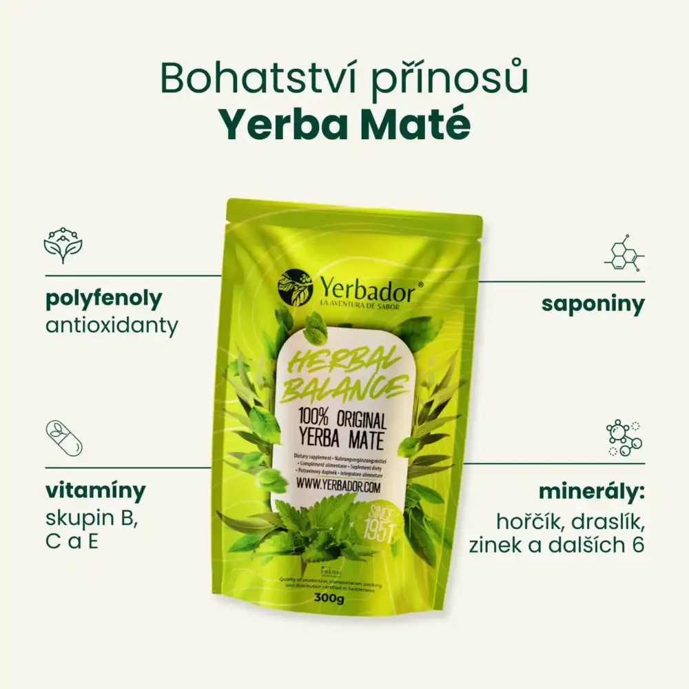 STARTOVACÍ SADA YERBA MATÉ BOMBILLA + MATERO + YERBA OČISTA - BYLINNÝ DETOX - Image 3