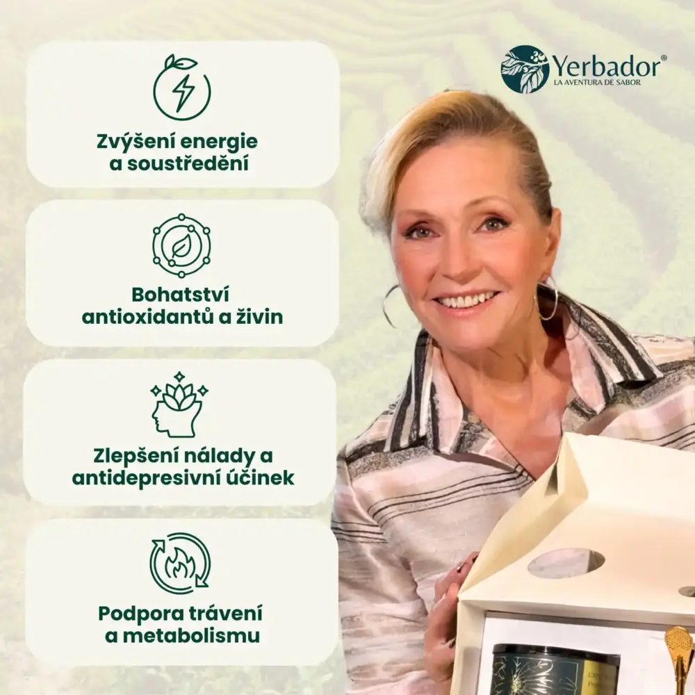 STARTOVACÍ SADA YERBA MATÉ BOMBILLA + MATERO + YERBA OČISTA - BYLINNÝ DETOX - Image 2