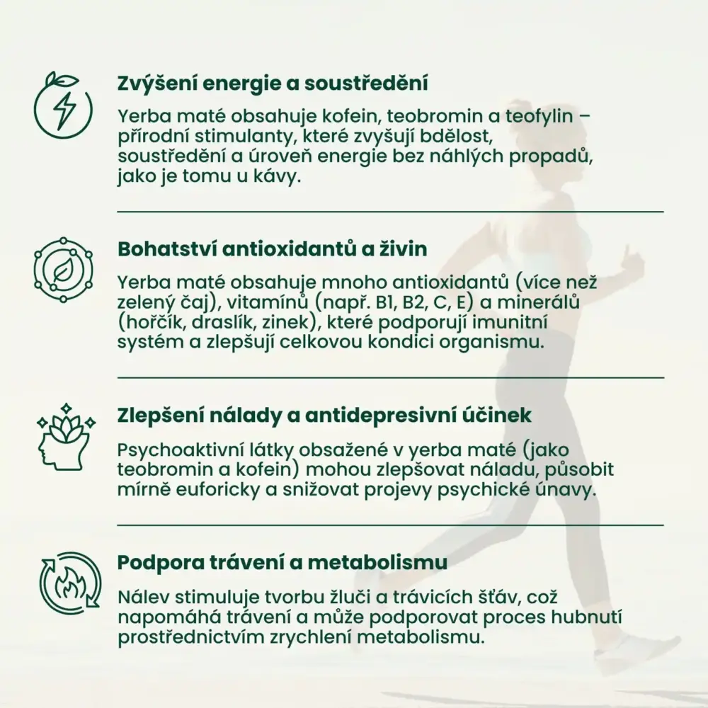 STARTOVACÍ SADA YERBA MATÉ BOMBILLA + MATERO + YERBA OČISTA - BYLINNÝ DETOX - Image 8