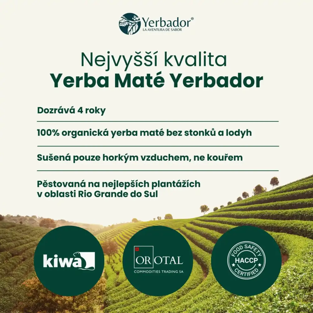 STARTOVACÍ SADA YERBA MATÉ BOMBILLA + MATERO + YERBA OČISTA - BYLINNÝ DETOX - Image 6