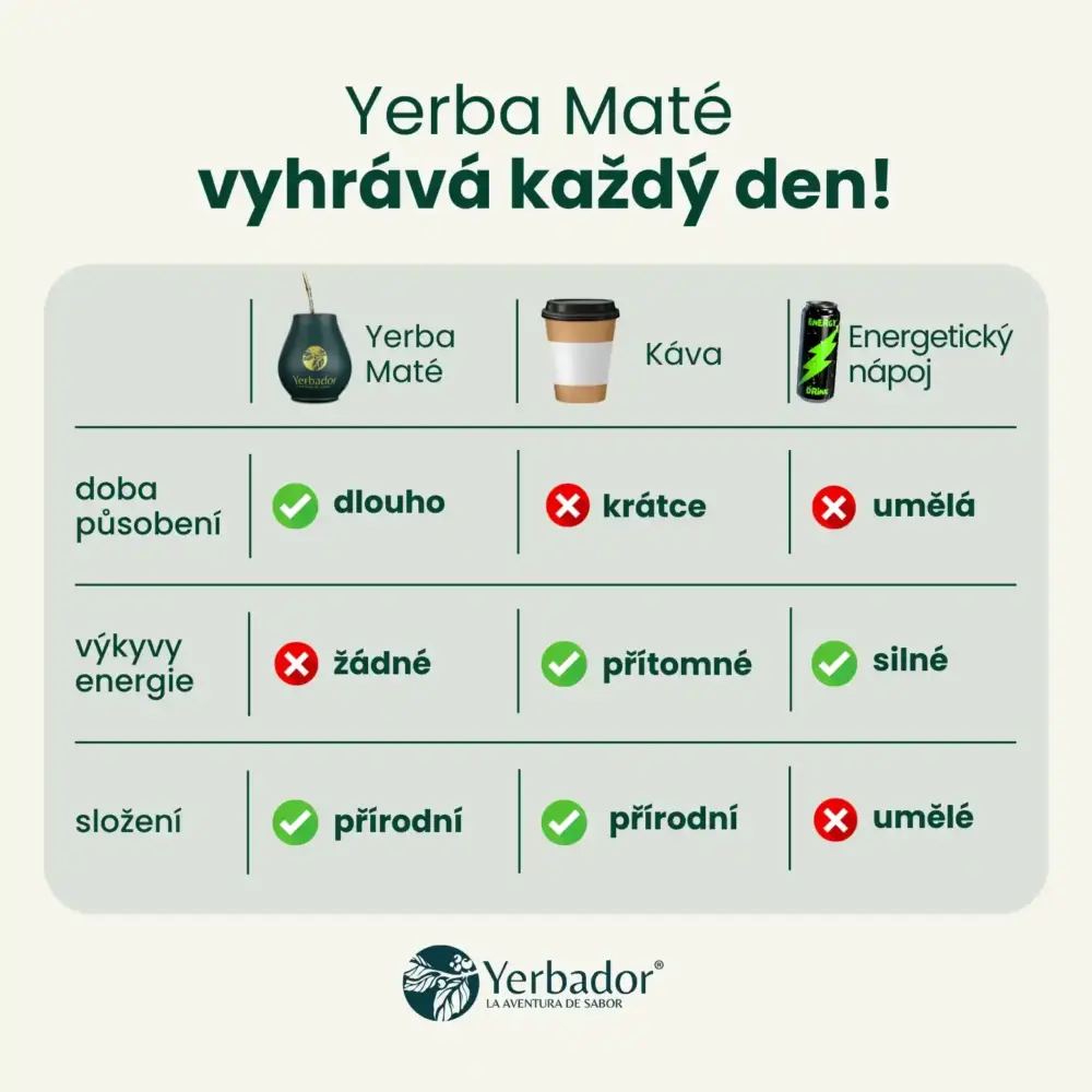 STARTOVACÍ SADA YERBA MATÉ BOMBILLA + MATERO + YERBA OČISTA - BYLINNÝ DETOX - Image 5